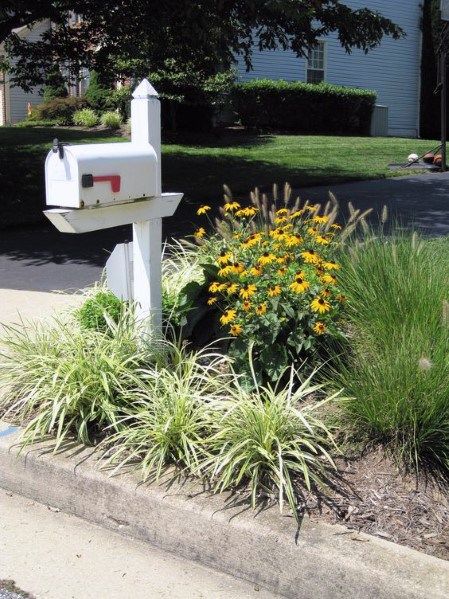 Top 30 Best Mailbox Landscaping Ideas - Plant Designs Mailbox Plants, Simple Landscape Design, Mailbox Planter, Mailbox Flowers, Mailbox Garden, Mailbox Landscaping, Landscaping Around House, Unique Mailboxes, Landscaping Around Trees