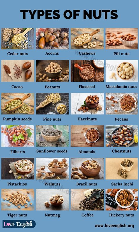 Types of Nuts Cave Hideout, Fruits And Vegetables List, Food Infographic, Nut Recipes, Herbs For Health, Plant Based Nutrition, Roasted Salmon, Mixed Nuts, Food Facts