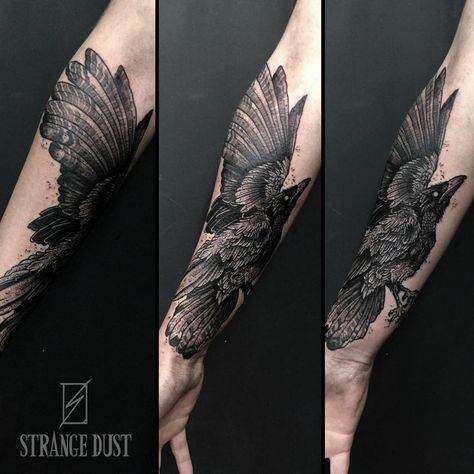 Curved Forearm Tattoo, Raven Tattoo Leg, Raven Knee Tattoo, Raven Half Sleeve Tattoo, Realism Raven Tattoo, Raven Tattoo Color, Gothic Raven Tattoo, Crow Forearm Tattoo, Raven Tattoo Arm