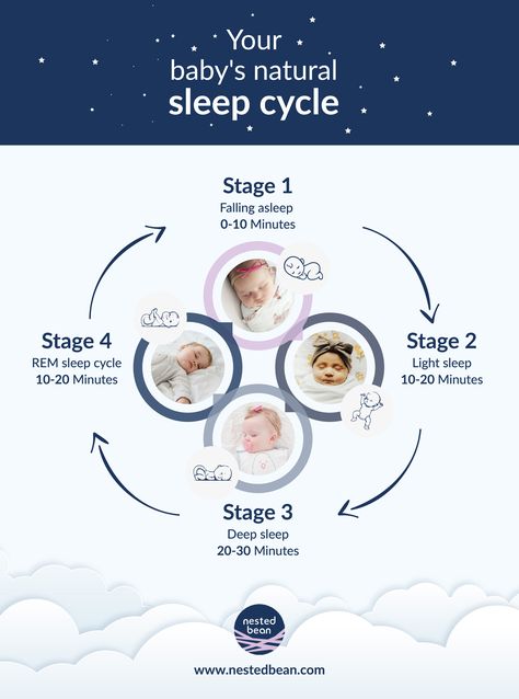 our baby may have your eyes or your lips, but when it comes to sleep, the two of you are quite dissimilar.  Sleep might seem rather simple to you, but there's a lot more to sleep than simply "awake" and "asleep." Our newborn sleep cycle chart shows the 4 different sleep phases: Newborn Sleep Cycle, Sleep Cycle Chart, Rem Sleep Cycle, Cycle Chart, Sleep Chart, Sleep Phases, Snoring Remedies, Age Appropriate Chores, How To Stop Snoring