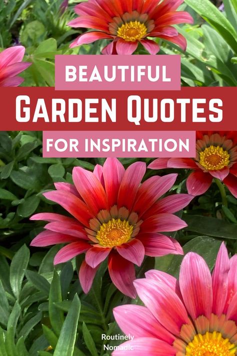 Did you just have the most amazing time enjoying your gardens and are now looking for the best garden quotes for Instagram? Here are the best cute, funny, inspirational, short, and beautiful poems and quotes about gardens. Or chose garden captions for Instagram. Find the best one that fits your experience, picture or just inspires you! Garden Captions For Instagram, Quotes About Gardens, Garden Captions, Gardening Quotes Inspirational, Quotes For 2023, Garden Poems, Beautiful Poems, Gardening Quotes, Inspirational Funny