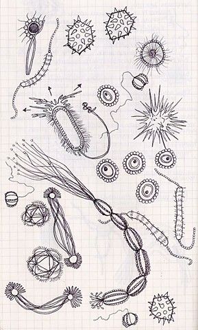 Sketch of microorganisms Micro Organisms Drawing, Microbe Tattoo, Microorganisms Drawing, Exploration Tattoo, Microorganisms Art, Microscope Art, Avatar Tattoo, Black Ink Art, Microscopic Photography