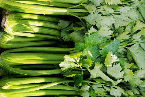 Never toss the celery leaves again. Learn how to use the top part of celery in your recipes to help reduce food waste and save money. Celery Tops, How To Store Celery, Chinese Cut, Pickled Celery, Celery Leaves, Stuffing Recipes For Thanksgiving, Charcuterie Plate, Thanksgiving Stuffing, Herb Salad