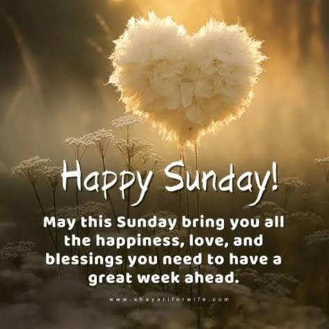 Happy Sunday Images Beautiful, May Your Day Be Blessed, Happy Sunday Messages, Blessed Sunday Morning, Happy Sunday Images, Sunday Messages, Good Morning Sunday Images, Sunday Greetings, Have A Blessed Sunday