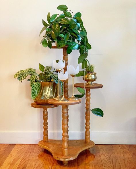 Plant Stand Vintage, Mcm Plant Stand, Vintage Plant Stand, Spare Room Ideas, Office Man, Wood Plant Stand, Light Decor, Plant Stand Indoor, Mid Century Mod