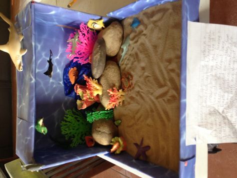 Coral Reef Habitat Project for kids Ocean Diorama Project, Coral Reef Biome, Coral Reef Craft, Habitat Project, Ocean Diorama, Biomes Project, Diorama Project, Diorama Kids, Aquarium Craft