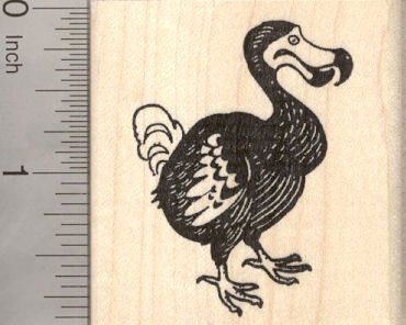 Bird Rubber Stamps, Dodo Bird, Line Doodles, Cute Tats, Perspective Drawing Architecture, Extinct Animals, Feminine Tattoos, Birds Tattoo, Tattoo You