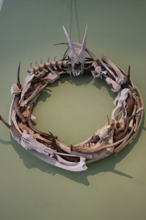 Bone Wreath by Joel Baron Animal Skull Crafts, Art With Bones, Bone Art Diy, Bones Display, Bones Craft, Bone Wreath, Bone Crown, Animal Bone Art, Animal Skull Art