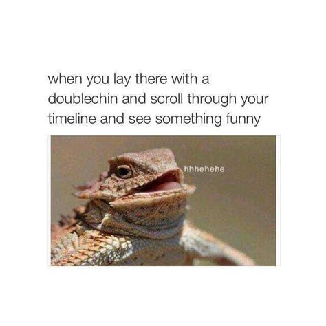 Dragon Day, Memes Hilarious, Funniest Memes, Relationship Memes, Funny Animal Memes, Text Posts, You Funny, Animal Memes, Tumblr Funny