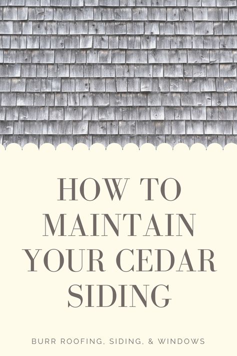 Cedar Siding Exterior, Exterior Stain Colors, Shaker Siding, Cedar Shake Siding, Paint Shakers, Cedar Shake, Shake Siding, Cedar Shakes, Exterior Stain