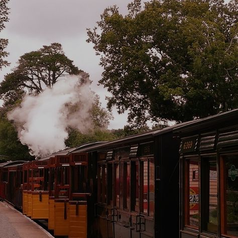 Hogwarts train dark acidemia Train Dark Academia, Old Trains Aesthetic, Train Aesthetic Vintage, Victorian Train Aesthetic, Steam Engine Aesthetic, Steam Train Aesthetic, Vintage Train Station Aesthetic, Nevermoor Aesthetic, Old Train Aesthetic