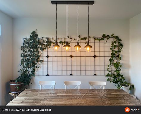 IKEA Sosdala Memo Board with Pothos Ikea Plant Wall, Outside Ideas, Ikea Plant, Room Portrait, Indoor Climbing Plants, Indoor Plant Trellis, Plant Wall Decor, Swedish Furniture, Deco Studio