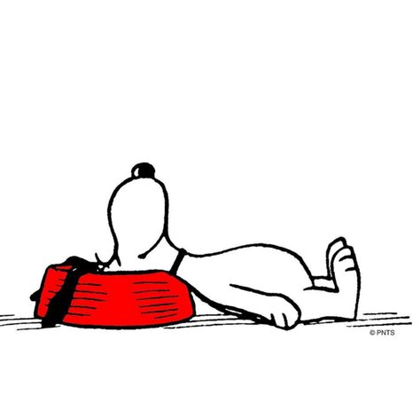 Mood. Sally Brown, Charles Schulz, Cute Disney Drawings, Peanuts Snoopy Woodstock, Peanuts Cartoon, Peanuts Characters, Snoopy Quotes, Snoopy Pictures, Snoop Dog