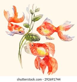 Goldfish Watercolor, T Shirt Graphics, Fish T Shirt, Sea Creatures Art, Watercolor Fish, Watercolour Inspiration, Watercolor Red, Shirt Graphics, Sketchbook Art Journal