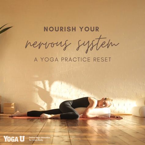 Yoga Education, Bedtime Yoga, Instagram Profil, Parasympathetic Nervous System, Endurance Workout, A Healthy Relationship, Vagus Nerve, Learning To Let Go, Yoga Community