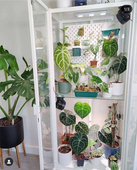 Milsbo Ikea, Milsbo Greenhouse, Ikea Indoor Garden, Ikea Greenhouse Cabinet, Plant Cabinet, Greenhouse Cabinet, Ikea Greenhouse, Indoor Garden Rooms, I Can Control