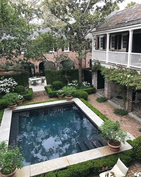 Mark D. Sikes (@markdsikes) on Instagram: “Good night Charleston- today was BEAUTIFULⓂ️ #beautifulincharleston #heavenonearth” Kleiner Pool Design, Dream Backyard Pool, Courtyard Pool, Pools Backyard Inground, Small Swimming Pools, Small Pool Design, Backyard Pools, Small Pools, Dream Pools