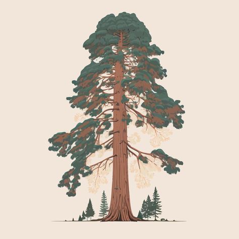 Red Wood Tree Drawing, Sequoia Tree Art, Giant Sequoia Tree Tattoo, Cypress Tree Illustration, Sequoia Tree Tattoo Simple, Fir Tree Drawings, Redwood Tree Art, Sequoia Drawing, Sequoia Tree Drawing