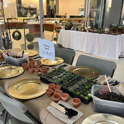 Last weekend was amazing! 😍 I enjoyed seeing the inspiration from everyone who stopped by! Special thank you to @hometown.florals, @spiritlakesilverandgold and @thesocialco.events for joining all the fun! ✨ 🌵 If you're interested in hosting a private party, feel free to send us a message. We offer DIY options or workshops led by one of our succulent specialists. 🌵✨ #SucculentLife #WeekendEvents #succulents #diycrafts #diyhomeprojects #diyinspiration #gardenkit #gardening #DIYProjects #pla... Succulent Place Setting, Individual Succulent Centerpiece, Succulent Coasters, Succulent Workshop, Garden Kits, Private Party, Succulent Planter, Diy Inspiration, Succulent