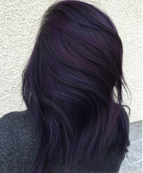 Black And Purple Hair Ideas, Black And Purple Hair, Purple Hair Ideas, Dark Purple Hair, Photography Hair, Hair Color Purple, Ombre Hair Color, Black And Purple, Hair Color For Black Hair