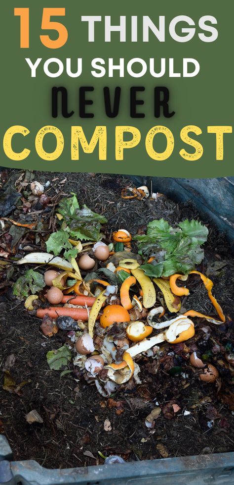 Compost For Beginners, How To Start Composting, Composting Ideas, Start Composting, Composting 101, How To Compost, Compost Bin Diy, Diy Compost, Veggie Gardens