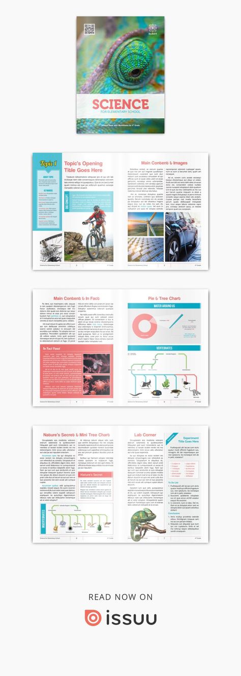 Colorful e-book template for Adobe InDesign, Science eTextbook Template 2018 (Details → creativemarket.com/fisihsani). The template is fully editable and features Dig Concept box, InFact panel, cladogram, modern pie chart, histogram, stylish table, Critical Thinking box, Posttest panel, mini tree chart, Nature's Secret panel, Experiment (Lab Corner), and a fictional bibliography with standard reference lists in APA format. Perfect for any textbook project purposes. School Book Layout, Textbook Design, Book Charts, Guidebook Design, Indesign Inspiration, School Textbooks, Ebook Template Design, 보고서 디자인, Newsletter Layout