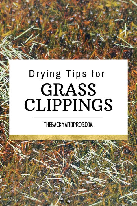 Dreaming of a luscious, vibrant lawn? Learn the age-old technique of drying grass clippings to supercharge your garden game. Our guide covers the why, when, and how of grass clipping drying. From crafting nutrient-rich compost to creating stunning natural decor, this method unlocks a world of possibilities. Whether you're a seasoned gardener or just starting, get ready to embrace sustainable practices and transform your clippings into gold. Dive into the world of grass clipping drying today! 🌿✨ Grass Hay, Worm Bin, Garden Hacks, Garden Games, Natural Decor, Buy Plants, Sustainable Practices, Backyard Projects, Nature Decor