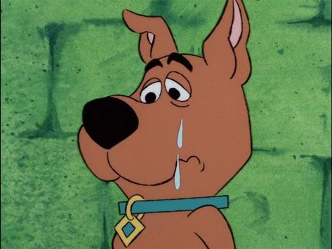 Scrappy-Doo Scrappy Doo, Scooby Doo Images, Scooby Doo