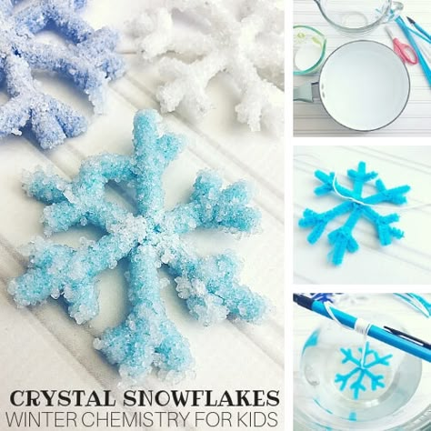 Growing Borax Crystals Fast For Kids - Little Bins for Little Hands Borax Snowflakes, Snowflakes Science, Crystals For Kids, Borax Crystals, Borax Slime, Winter Science, Contact Solution, Growing Crystals, Simple Science