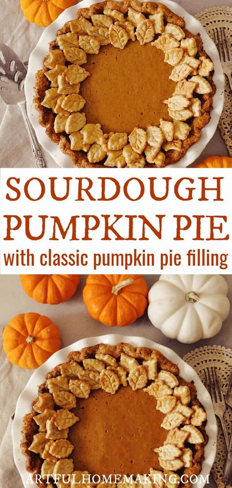 Try this sourdough pumpkin pie made with classic pie filling for the perfect fall dessert! If you need sourdough discard recipes, this pie fits the bill! Sourdough Discard Pumpkin, Eggless Custard, Sourdough Crust, Pumpkin Pie Crust, Sourdough Pumpkin, Classic Pumpkin Pie, Sourdough Recipe, Easy Sourdough, Leftover Pumpkin