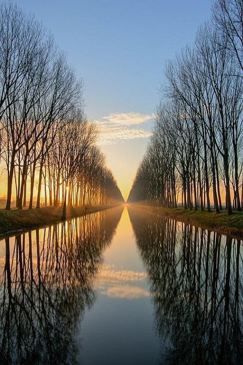 Perfect Reflection Reflection Photography, Better Person, Better Future, Still Water, Beautiful Tree, Beautiful Photography, Amazing Nature, Nature Pictures, Nature Photos