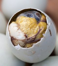 Every morning, I would hear the distinct call, "BALUT!" The "balut man" was driving his carrabou cart through the streets, offering the delicacy beloved among the Philippino residents, balot. It is a partially developed duck egg. I never brought myself to try one. Balut Egg Philippines, Balut Egg, Hell’s Kitchen, Filipino Foods, Philippines Food, Vietnam Food, Fav Food, Filipino Dishes, Filipino Recipes