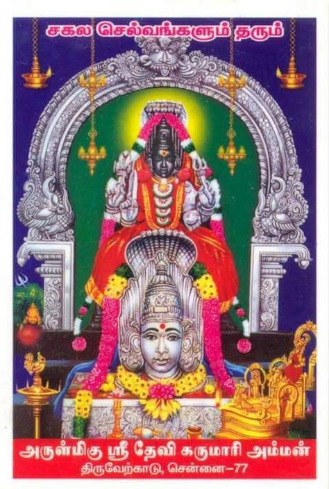 Karumari Amman Images Hd, Amman Images Hd, Amman Images, Aadi Shakti, Lord Murugan Wallpapers, Shakti Goddess, Navratri Images, Lord Shiva Family, Lord Murugan