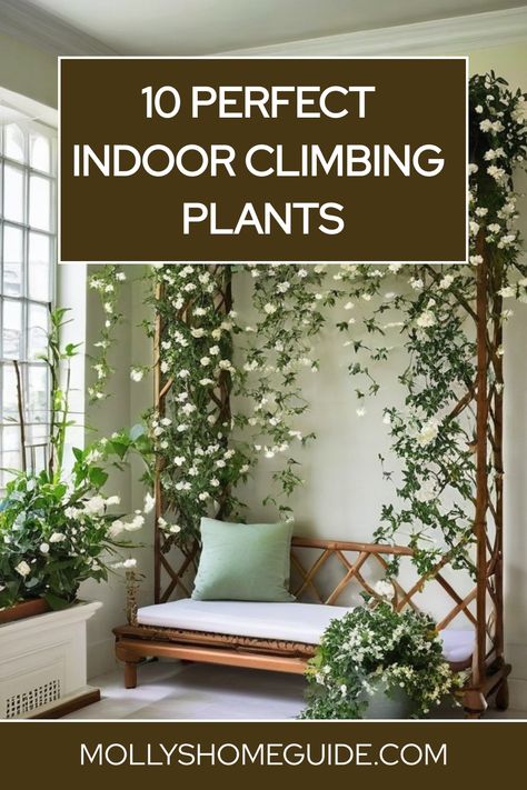 Discover the best climbing plants for indoor spaces with these unique indoor vines that will elevate your home decor. From Philodendron plants to other indoor vining plants, explore how plant trellises and moss poles can support and enhance the growth of your favorite climbing plant varieties. Find inspiration for creating a lush indoor garden with our selection of plant supports for climbing plants. Elevate your space with these exquisite Indoor climbing plants and add a touch of nature to any Indoor Vine Plants Ideas, Vine Plants Indoor, Indoor Herb Wall, Indoor Trailing Plants, Climbing Plants Indoor, Indoor Jasmine, Indoor Vine Plants, Best Climbing Plants, Indoor Climbing Plants