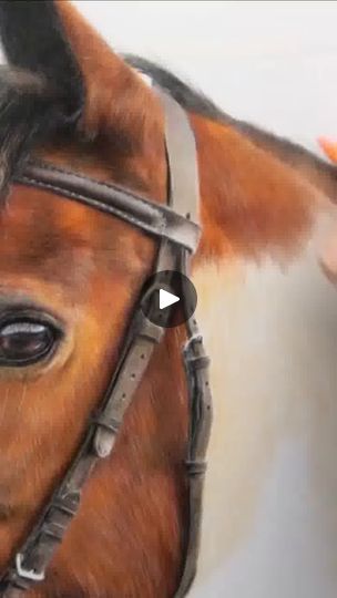 Layering coloured pencils to create a beautiful horse drawing! 🐴✨ ⁠
⁠
See how I build up colour and depth step by step in this quick demo. ⁠
⁠
If you’re... | By Kasey | Facebook Tennessee Walker Horse, Learn To Sketch, Beautiful Horse, Horse Drawing, Coloured Pencils, Beautiful Horses, Step By Step, To Create, Layering