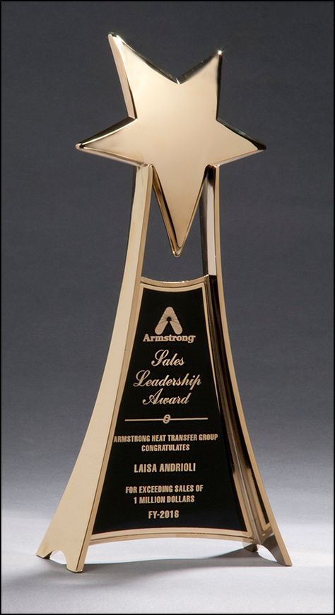 Airflyte Recognition Awards Products Music Trophies, Trophy Craft, Star Trophy, Award Plaques, Award Trophy, Award Display, Plaque Design, Glass Awards, Graduation Crafts