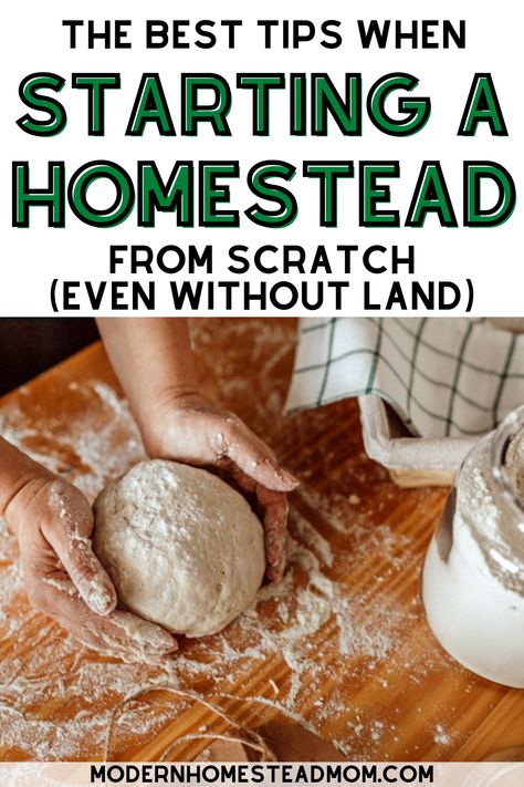 13 must read tips for the beginner homesteader. Start your urban homestead today even without land. How to start Homesteading in an apartment. How to start your homestead garden. Homesteading for Beginners- Guide to Starting a Homestead. How To Start A Small Homestead, First Steps To Homesteading, How To Be A Homesteader, Things To Start Making From Scratch, How To Start Homesteading Slowly, Homestead Needs, Homesteading Must Haves, Homestead For Beginners, Homestead Schedule Daily