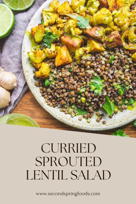 This bold, warm Curried Sprouted Lentil Salad is perfect for a plant-based lunch or dinner! The sprouted lentil trio adds an impressive 9g of fibre, 11g of protein and 3.5mg of iron to each serving. Plus, sprouting aids in it’s taste, texture, digestibility and nutrient absorption. The hearty sprouted lentils are balanced by crispy curry roasted potatoes, cauliflower and onions, nutritious baby spinach, and a fresh and tangy cilantro lime vinaigrette. Lentil Recipes Indian, Sprouted Lentils, Spinach Bites, Cilantro Lime Vinaigrette, Plant Based Lunch, Nutrient Absorption, Lime Vinaigrette, Curry Spices, Sprout Recipes