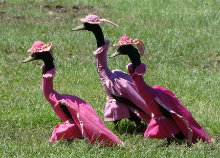 Indian Runner Ducks. Dressed for tea. | Garden 2.0 | Pinterest ... Runner Ducks, Duck Pictures, Colored Pencil Tutorial, Funny Duck, Pet Costumes, Hi Guys, Happy Weekend, Pretty Pictures, Ducks