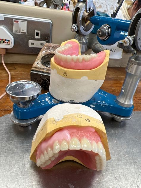 Orthodontist Assistant, Dental Lab Technician, Dental Images, Dentistry Student, Dental Anatomy, Aesthetic Dentistry, Dental Technician, Lab Technician, Dental Laboratory