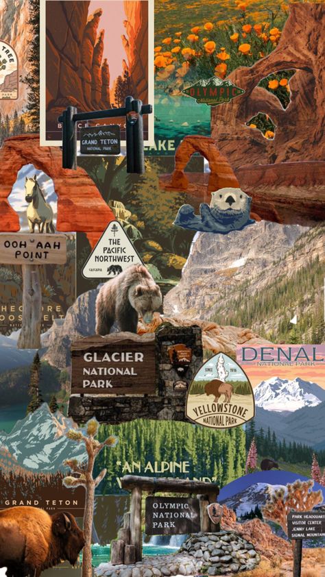 National park girlies National Park Ranger Aesthetic, National Parks Wallpaper, National Park Collage, National Parks Aesthetic, Chaos Journal, National Park Aesthetic, National Parks Road Trip, Italy Trip Planning, Wildlife Biologist