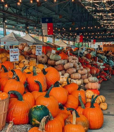 Pumpkins, delicious wine + cheese, live music, shopping and MORE. ✨✨✨ Get your tickets for our 10/28 Dallas Farmers Market's Texas Harvest Wine Tasting. Use promo code: INSTA10 and get your tickets before they sell out! Very limited amount of tickets sold at door. Dallas Farmers Market, Wine Cheese, Sell Out, Dallas Tx, Wine Tasting, Pumpkin Patch, Farmers Market, Live Music, Pumpkins