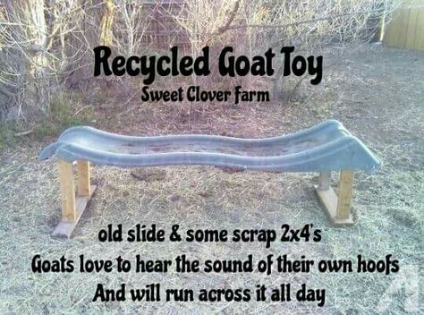 Goat toy! … Diy Goat Projects, Goat See Saw Diy, Buck Goat Pen, Goat Pen Set Up, Goat Pen Signs, Goat Hacks Diy, Diy Goat Pin, Goat Gate Ideas, Fun Goat Pen Ideas