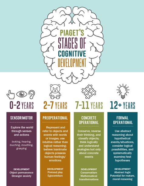 Piaget's Four Stages of Cognitive Development Infographic Human Lifespan Development, Early Childhood Therapy Activities, Jean Piaget Theory Of Cognitive Development, Eriksons Stages Of Development Mnemonic, Piaget Theory Of Cognitive Development, Activities For Cognitive Development, Jean Piaget Cognitive Development, Social Work Infographic, Cognitive Learning Theory