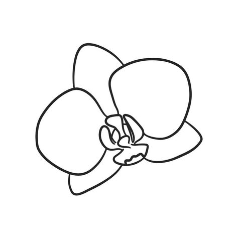 Orchid Flower Drawing, Drawing Coloring Pages, Orchid Drawing, Orchids Flowers, Drawing Line Art, Contour Drawing, Orchid Flower, Flower Images, Flower Drawing