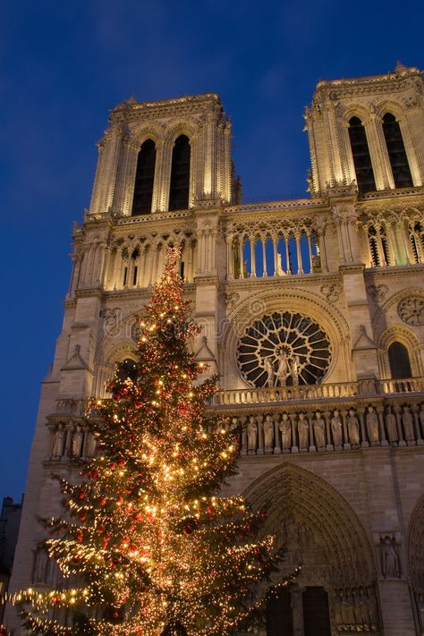 Christmas at Notre-Dame. A Christmas tree in front of Notre-Dame cathedral - Par , #affiliate, #Dame, #tree, #Christmas, #Notre, #Paris #ad Tree On Canvas, Notre Dame Cathedral, Paris Guide, French Christmas, Living In Paris, Paris Travel, France Travel, City Lights, Luxury Travel