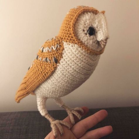 A Barn Owl Owl Crochet, Crochet Owls, Owl Crochet Patterns, Silly Hats, Crochet Octopus, Crochet Owl, Crochet Sunflower, Owl Patterns, Fun Crochet Projects