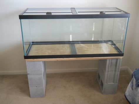 Tank Stand Ideas, Fish Tank Stand Ideas, Diy Fish Tank Stand, Salt Water Tank, Diy Aquarium Stand, Fish Stand, Aquarium Stands, Fish Tank Stand, Diy Fish Tank