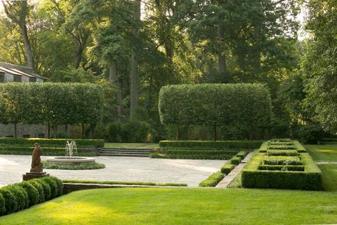 Formal Landscape, Ideas Backyard Patio, Classical Landscape, Hornbeam Hedge, Patio Design Ideas, Raised Bed Garden, Modern Outdoor Living, Formal Garden, Traditional Landscape