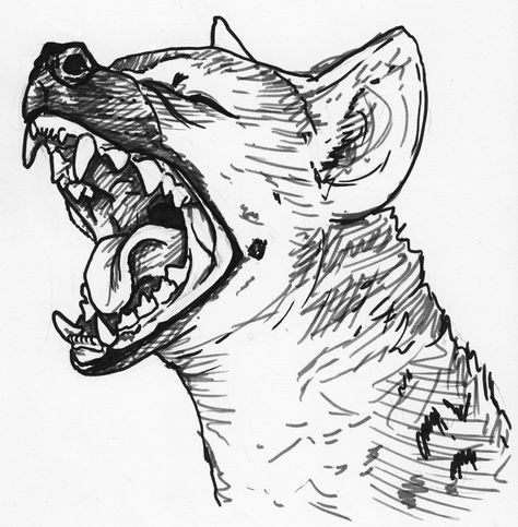 Hyena Tattoo, Desenho Tattoo, Animal Sketches, Hyena, Animal Tattoos, Creature Design, Art Reference Poses, Art Sketchbook, Tattoo Drawings